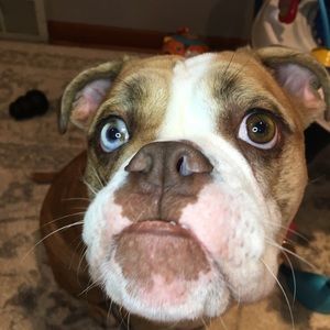 Meet your Posher, Emily